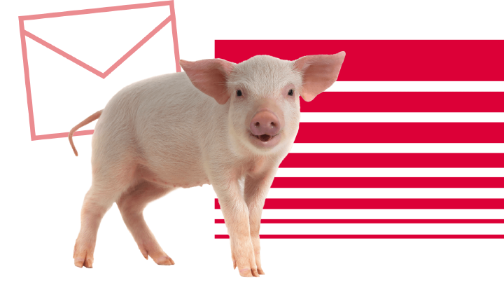 Blattin in der Praxis Schwein Familie Hirschenhauer Banner Newsletter Blattin in der Praxis Schwein Familie Hirschenhauer Banner Newsletter
